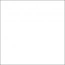 Фон пластиковый FST 100x120 см. белый матовый