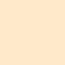 Фон бумажный FST 2,72x11 м. 1028 IVORY