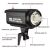Студийная вспышка Grifon DP 600 II - 600 Дж.