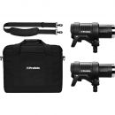 Комплект с двумя моноблоками Profoto D2 Duo Kit 500/500 AirTTL без Air Remote