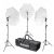 Комплект флуоресцентных осветителей Rekam CL-375-FL3-UM Kit
