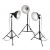 Комплект галогенных осветителей Rekam Light Kit  3х250 Вт.