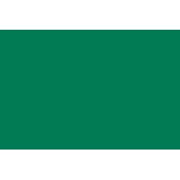 Бумажный фон Rekam Colorama Spruce Green-37 2.72x11 м.