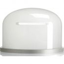 Profoto Glass Dome for D1 and B1 Monolights (Frosted)