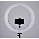 Кольцевой светодиодный осветитель FST LED 18-RL II