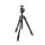 190go! Alu kit 4 section with XPRO Ball head RC2
