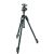 Штатив Manfrotto MK290XTC3-BH с головой 496RC2