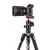 Штатив Manfrotto MKBFRLA-BH Befree Advanced Alpha штатив для Sony α