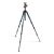 Штатив Manfrotto MKBFRTA4BL-BH Befree Advanced Travel Twist Blue с головой