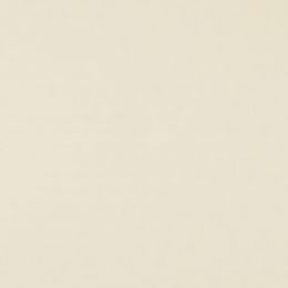Фон бумажный FST 2,72x11m 1039 Cream Цвет шампанского