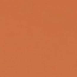 Фон бумажный FST 2,72x11m 1042 Spice Светло-коричневый