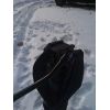 Фото покупателя: Видеоштатив Falcon Eyes CinemaPRO VT-1800H